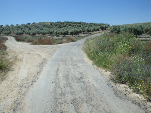 The road is a super highway for bicycles.